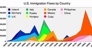 Image result for Immigration History Map