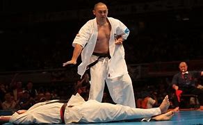 Image result for Mehrdad Soltani Karate Kyokushin