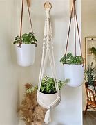 Image result for Plant Hooks Indoor