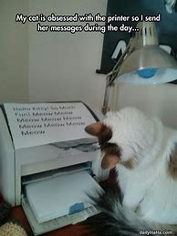 Image result for Funny Meme with Cat Printer