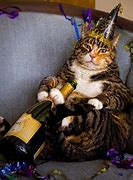 Image result for Happy New Year Cozy Animals