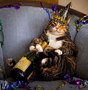Image result for Happy New Year Funny Animal Images
