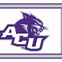 Image result for Penn College Wildcats Baseball Logo