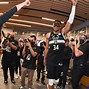 Image result for Giannis Antetokounmpo the Finals