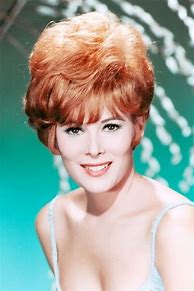 Image result for Jill St. John Actor