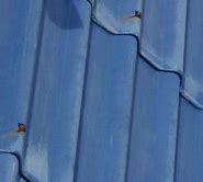 Image result for Corrugated Metal Roof Leak Repair