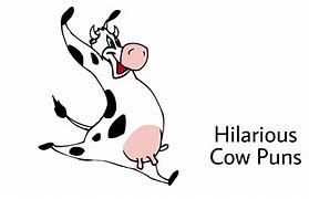 Image result for Moo Cow Funny Quotes