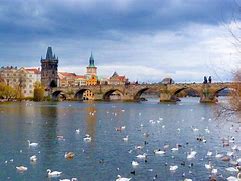 Image result for czechy