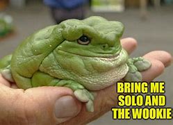 Image result for Big Frog Meme