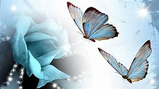 Image result for Aqua Blue Background Butterflies