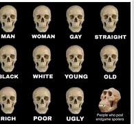 Image result for Skulls Race Meme