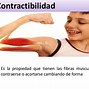 Image result for contract9lidad