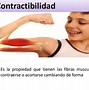 Image result for contractikidad