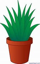 Image result for Flower Plant Clip Art
