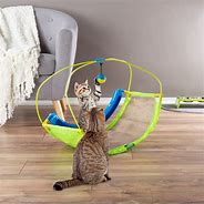 Image result for Cat Bug Toys