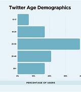 Image result for Twitter Users Racial Demographics