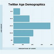 Image result for Twitter Users Age Demographics