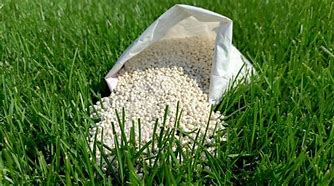 Image result for Bright Yelow Green Lawn Fertilizer