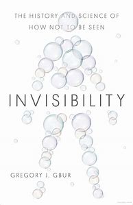 Image result for Mirror Invisibility