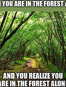 Image result for Funny Forest Meme