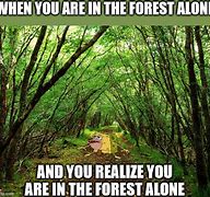 Image result for Funny Forest Meme