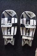 Image result for Cricket Shin Pads