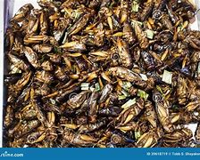 Image result for Cricket Food in Japan