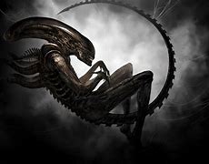 Image result for Alien Xenomorph