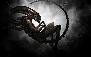 Image result for Alien Xenomorph Art
