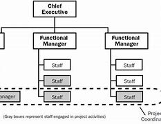 Image result for 4 Types of Organizational Structure