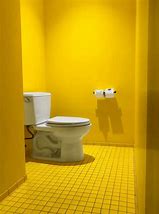 Image result for Toilet