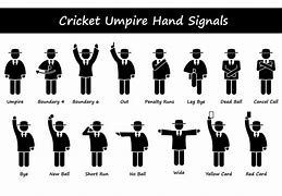 Image result for Wide Sign in Cricket