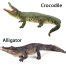 Image result for Alligator Looking Dinosaurs