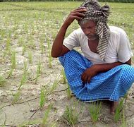 Image result for Sad Indian Farmer