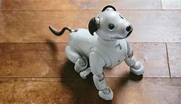 Image result for Aibo Life