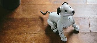 Image result for Aibo Anime