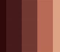 Image result for Red-Brown Paint Color