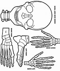 Image result for Skeleton to Cut Out and Put Together