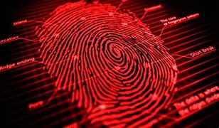 Image result for Ten Fingerprint Scanner