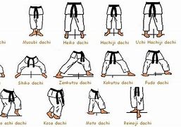 Image result for Karate Fight Positions