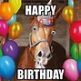 Image result for Happy Birthday Melissa Meme Horse