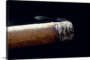 Image result for Cigar Wall Art