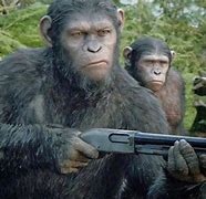 Image result for Planet of the Apes Actionfigures
