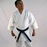 Image result for Japanese Karate Uniform