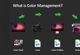 Image result for color_management_system