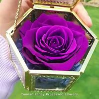 Image result for iPad Rose Gold Box