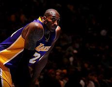 Image result for Golden State Warriors Basketball Team Players