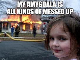Image result for Amygdala Meme