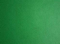 Image result for iPhone 11 Green Skin