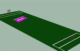 Image result for Cement Cricket Pitch